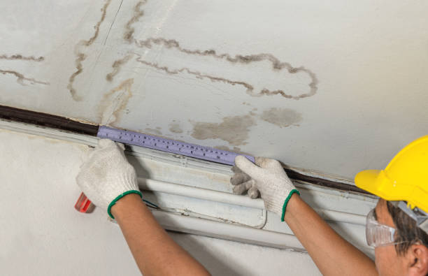 Reliable Burst Pipe Cleanup contractor in Augusta, KY by Water Damage Irwin
